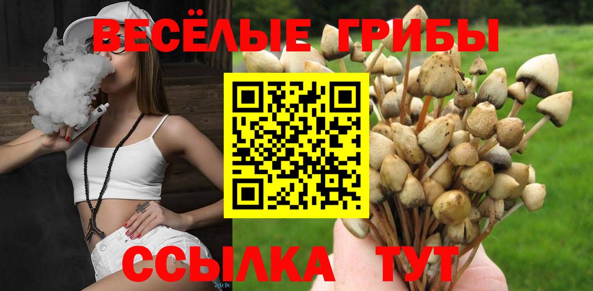 Галлюциногенные грибы Magic Shrooms Вичуга