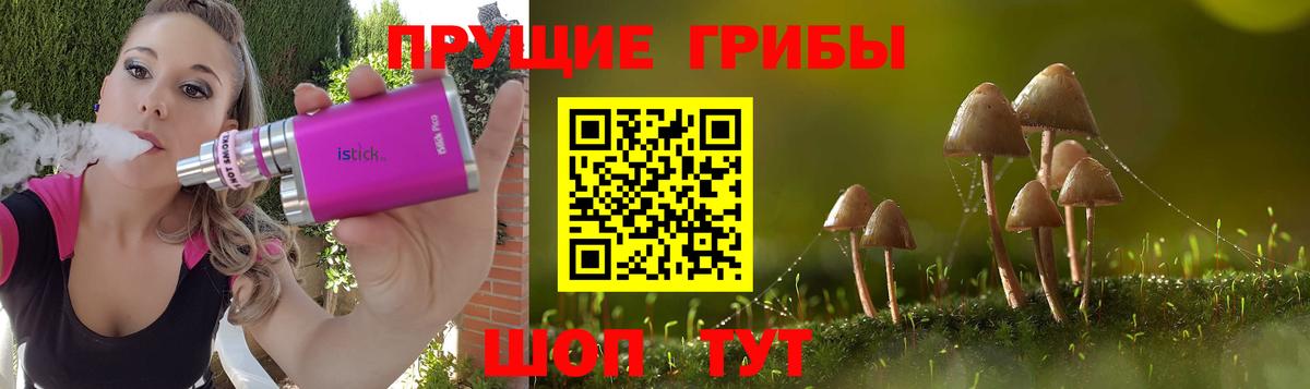 Вичуга  купить закладку  Вход с VPN  Галлюциногенные грибы ЛСД  Галлюциногенные грибы MAGIC MUSHROOMS 